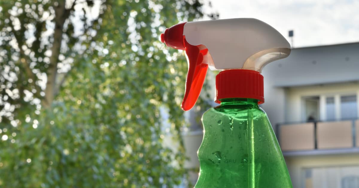 A green spray bottle held up outdoors, the everyday tool behind local SEO for cleaners and their service listings.