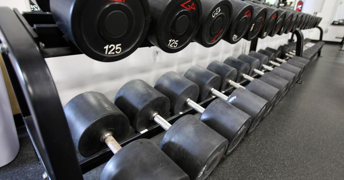 A row of dumbbells and weight plates racked in a gym, the equipment local SEO for gyms has to make easy to find nearby.